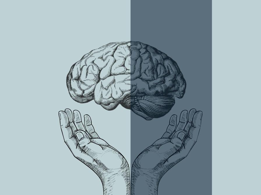 Illustration af to hænder som opløfter en hjerne.